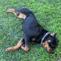 Thumbnail photo of Jelly #3