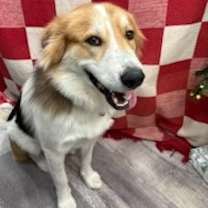 Thumbnail photo of Teller #3