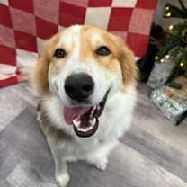 Thumbnail photo of Teller #4