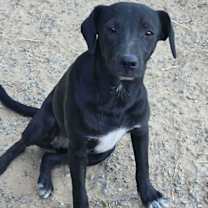 Thumbnail photo of Sue Ashcraft #1