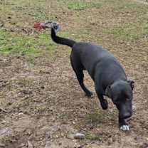 Thumbnail photo of Sue Ashcraft #2