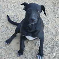 Thumbnail photo of Sue Ashcraft #3