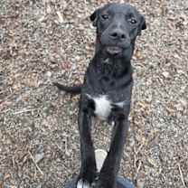 Thumbnail photo of Sue Ashcraft #4