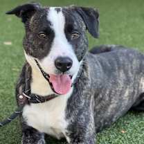 Thumbnail photo of Elliot #3