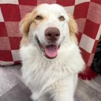 Thumbnail photo of Penn #2