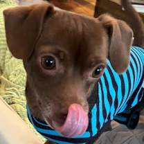 Thumbnail photo of Gigi #4