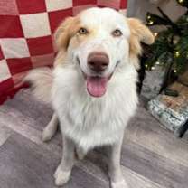 Thumbnail photo of Penn #3