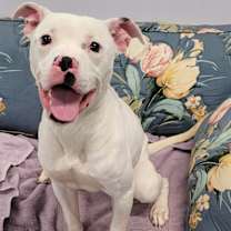 Thumbnail photo of Pearl! Pretty Girl! #4