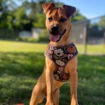 Thumbnail photo of Gigi #1