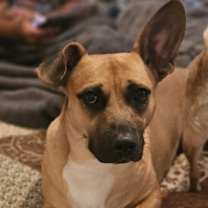 Thumbnail photo of Karma #1