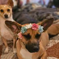 Thumbnail photo of Karma #2