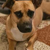 Thumbnail photo of Karma #3