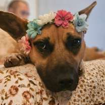 Thumbnail photo of Karma #4