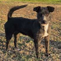 Thumbnail photo of Eggo #2