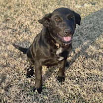 Thumbnail photo of Hunter #2