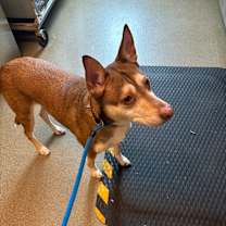 Thumbnail photo of Hinata #2