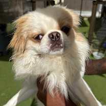 Thumbnail photo of Lemmy 6708 #2