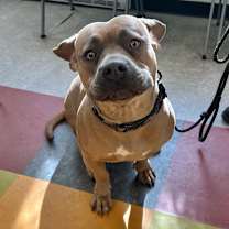 Thumbnail photo of Moxxi #2