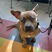 Thumbnail photo of Moxxi #3