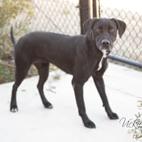 Thumbnail photo of Gisela #3