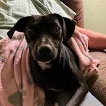 Thumbnail photo of LUCIE #2