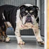 Thumbnail photo of Trey #3