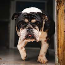 Thumbnail photo of Trey #4