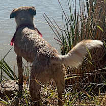 Thumbnail photo of Annie #4