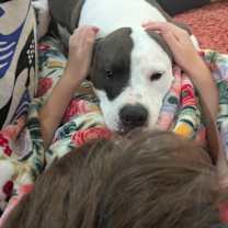 Thumbnail photo of Rosie #1