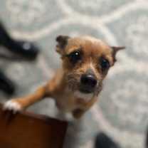 Thumbnail photo of Misty #2