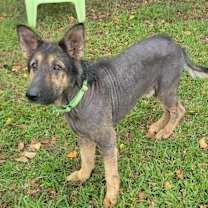 Thumbnail photo of Paul Mccartney #3