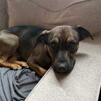 Thumbnail photo of Monet *in Foster* #3