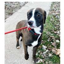 Thumbnail photo of Rebecca #1