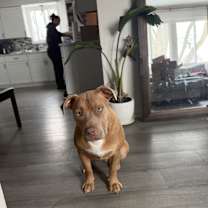 Thumbnail photo of Astro #2