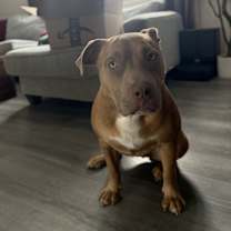 Thumbnail photo of Astro #4