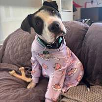 Thumbnail photo of Juicy #1