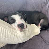 Thumbnail photo of Juicy #2