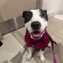 Thumbnail photo of Juicy #3