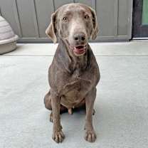 Thumbnail photo of Murdock #1