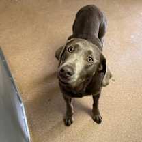 Thumbnail photo of Murdock #2