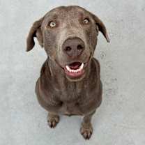 Thumbnail photo of Murdock #3