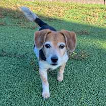 Thumbnail photo of Skylar  #2