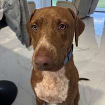 Thumbnail photo of Lionel Richie #2