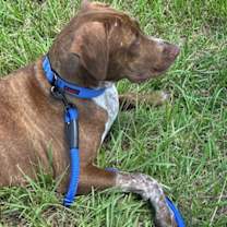 Thumbnail photo of Lionel Richie #3