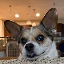 Thumbnail photo of Lupita #1