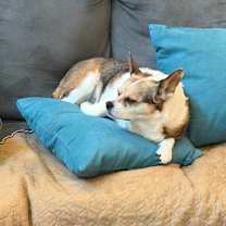 Thumbnail photo of Lupita #4