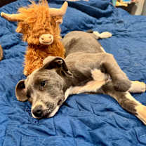 Thumbnail photo of Ice #4