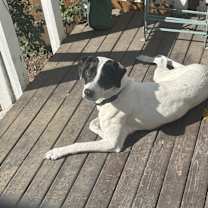 Thumbnail photo of Archer #3