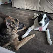 Thumbnail photo of Jack #3