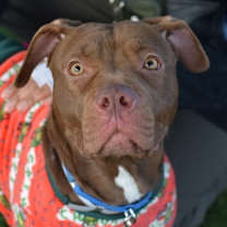 Thumbnail photo of Ginnie #1